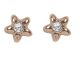 Earrings plated lobe pink gold with star and Swarovski
