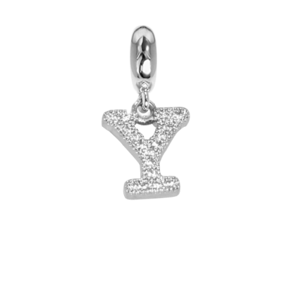 Charm with the letter Y in zircons