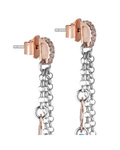 Earrings bicolor with sprigs of Swarovski and shuttles of zircons